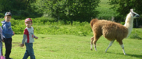 Ferme pédagogique de l'Aoueille