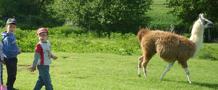 Ferme pédagogique de l'Aoueille