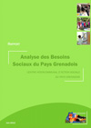 Analyse des besoins sociaux : synthèse rapport